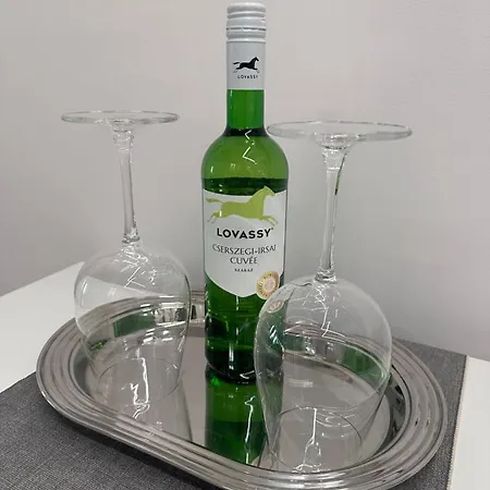 Elegant In The Centre With Ac Appartamento *