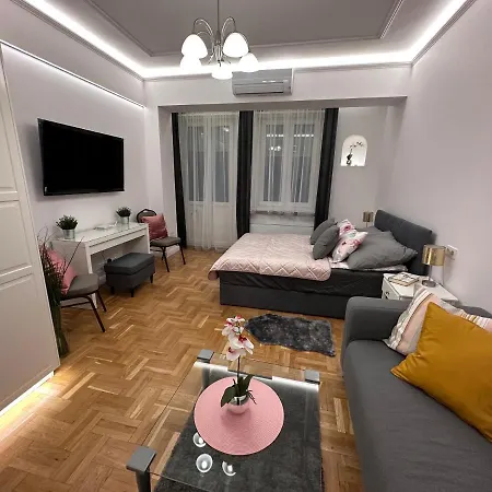Elegant In The Centre With Ac 布达佩斯
