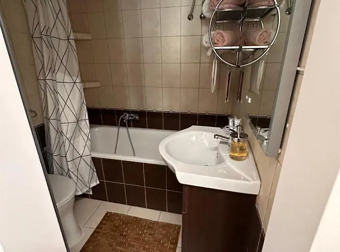 Apartament Elegant In The Centre With Ac
