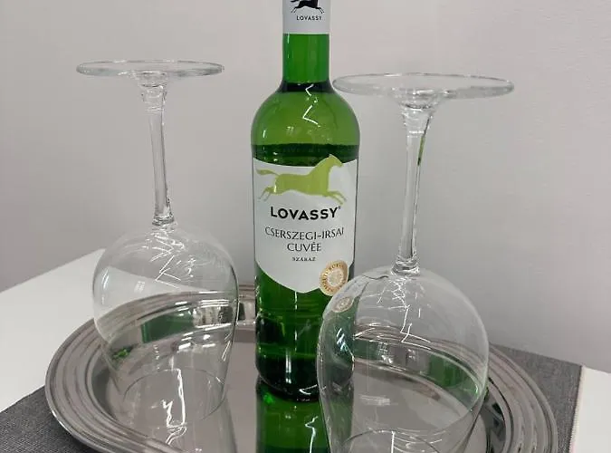 Elegant In The Centre With Ac דירה *